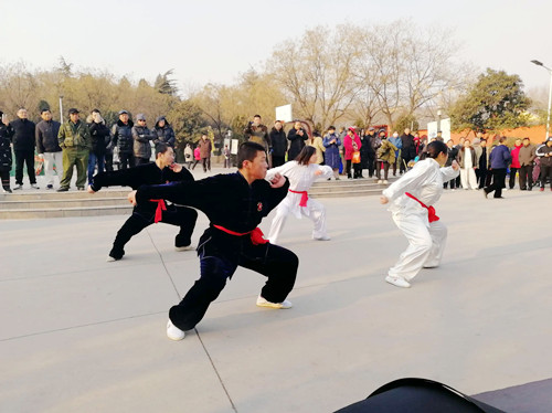 孟村八极拳[中华传统武术]