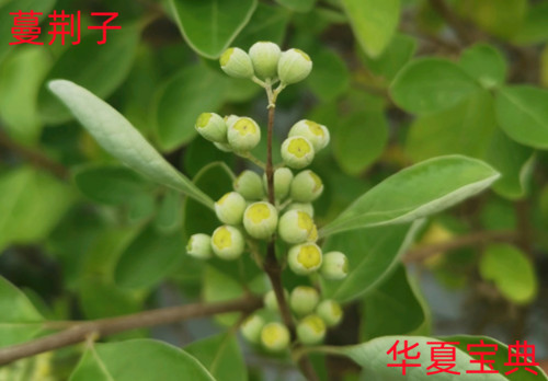 20p_副本.jpg