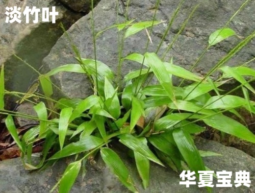 28_im_副本.jpg