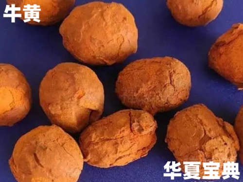 15_im_副本.jpg